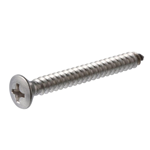 METAL SHEET SCREWS 10 x 1