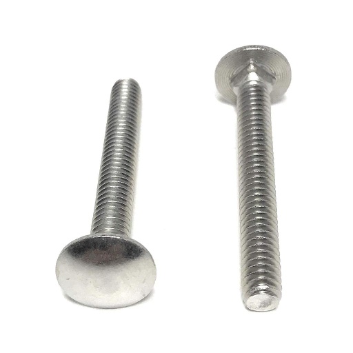 CARRIAGE SCREWS SS 1/4-20X2
