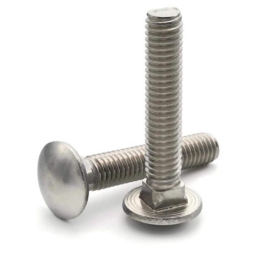 CARRIAGE SCREWS SS 3/8-16X1