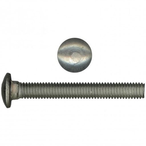 CARRIAGE SCREWS SS 3/8-16X1-1/4