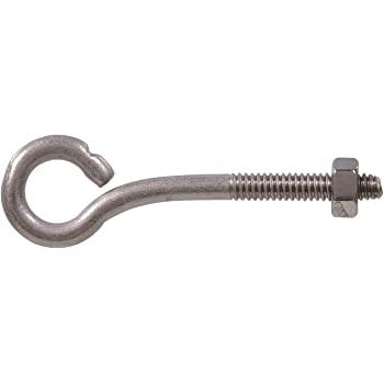 EYEBOLT W/NUT SS 1/4-20 X 3