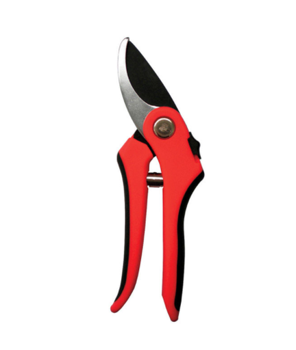 BYPASS SHEARS ACE 8"                    