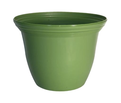 PLANTER SPICY LIME 9"D