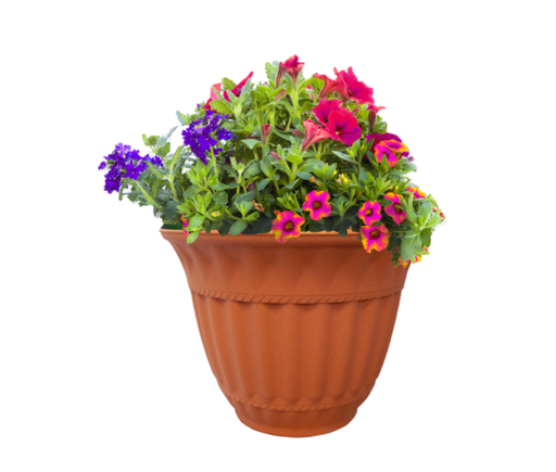 PLANTR CLAY 4.56"H 6"DIA