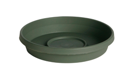 TERRATRAY LIV GREEN 10&quot;