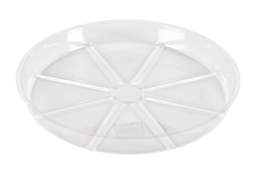 SAUCER PLANT 8&quot;CLR RESIN